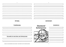 Schimpanse-Faltbuch-vierseitig-3.pdf